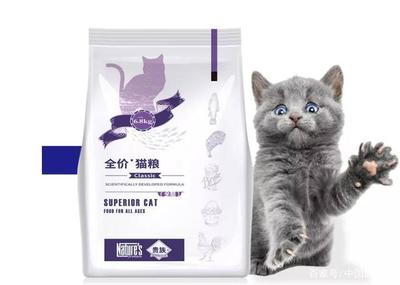 2020年貓糧十大品牌排行榜 寵物食品的選擇與推薦